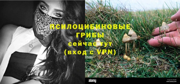мдма Богородск
