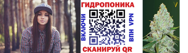 Купить закладки  Межгорье  Каннабис сатива 